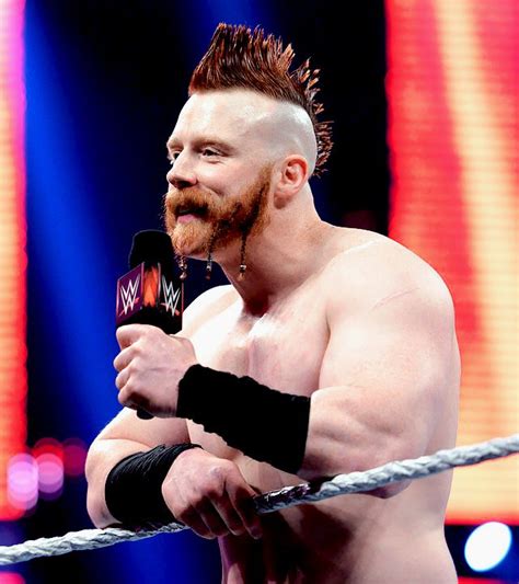 Wwe, Celtic Warriors, Sheamus, Shades Of Red, Hunk, Superstar ...