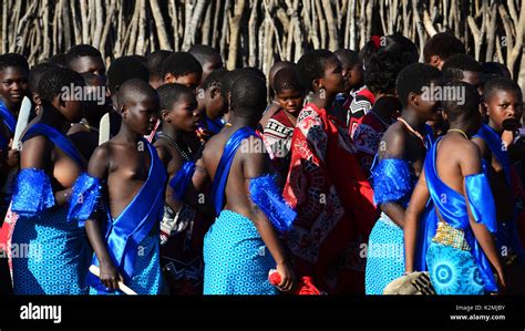 Swaziland Umhlanga Reed Dance Stock Photo - Alamy