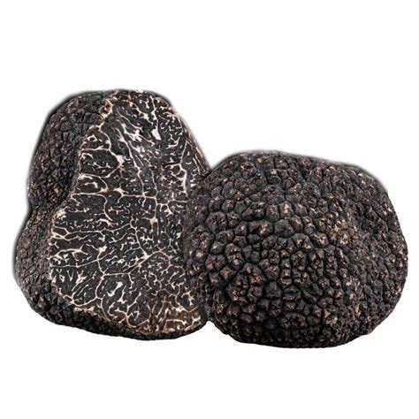 Périgord black truffle | PLANTIN