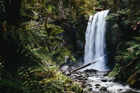 Great Otway National Park, Australia | Jelly Journeys