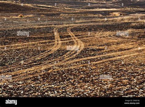 Lexton Australia / Aftermath of bushfires in Lexton Victoria Australia ...