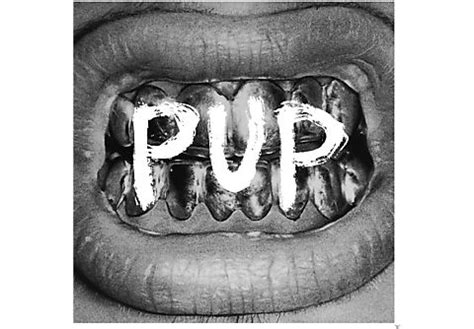 Pup | Pup - Pup - (CD) Rock & Pop CDs - MediaMarkt