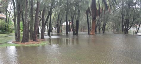 Narrabeen Lagoon Floodplain Risk Management Study and Plan | Your Say ...