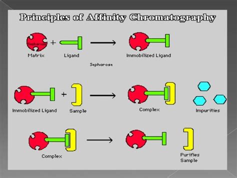 Affinity chromatography