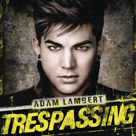 BPM and key for Shady (feat. Nile Rodgers & Sam Sparro) by Adam Lambert ...