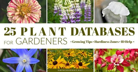 Online Plant Databases (Canada & United States) | Empress of Dirt