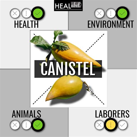 Canistel Benefits and Side Effects: What Is Canistel Fruit?