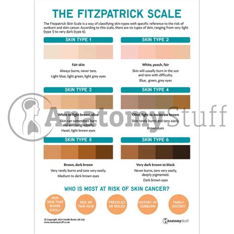 The Fitzpatrick Skin Cancer Scale (Printable PDF) | Cancer Awareness ...