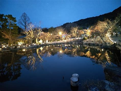 Best 3 Things to See and Do at Maruyama Park Kyoto