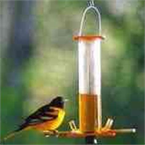 Homemade Oriole Food Nectar - Attracting Orioles