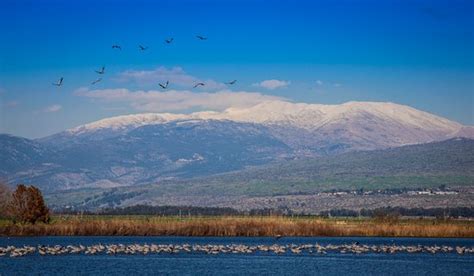 Mount Hermon (Merom Golan) - 2021 All You Need to Know Before You Go ...