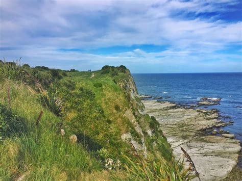 THE SCENIC KAIKOURA PENINSULA WALKWAY (101 GUIDE)