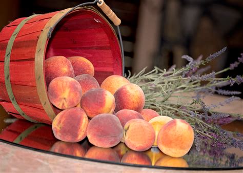 Guide to Peach Varieties – Lane Southern Orchards