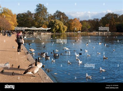 Serpentine lake - Hyde Park - London Stock Photo - Alamy