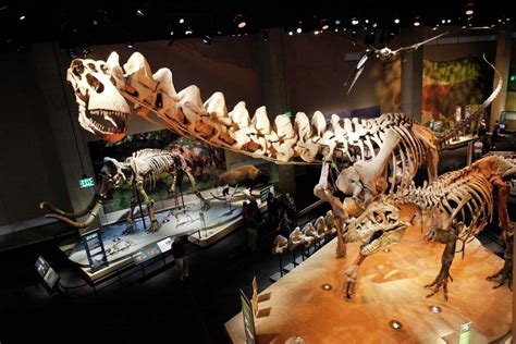 The Alamosaurus was a Texas dinosaur and one of the world’s largest. But no, it was not named ...