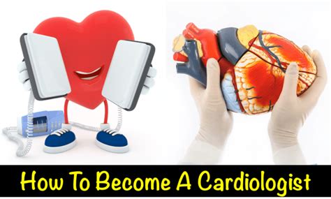 How to Become a Cardiologist Written by Cardiologists