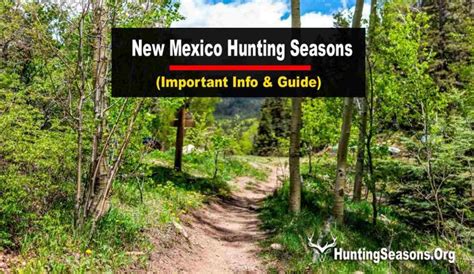 2024-2025 New Mexico Hunting Seasons Latest Dates & Regulations