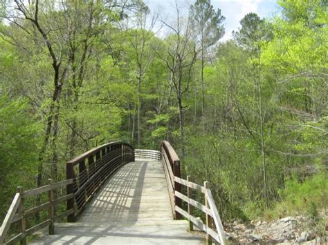 Cape Fear River Trail (Fayetteville): UPDATED 2019 All You Need to Know Before You Go (with PHOTOS)