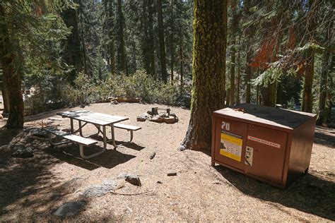 Sequoia National Park Camping: The Best Guide to All 7 Campgrounds