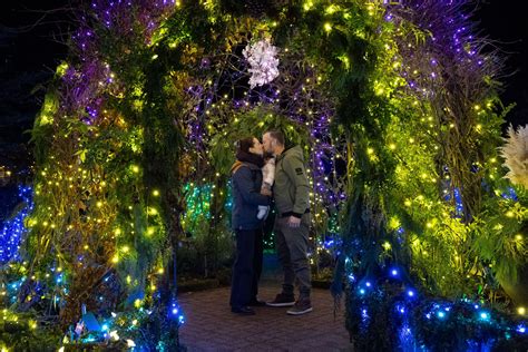 VanDusen Festival of Lights shines bright in Vancouver for the holidays | Listed