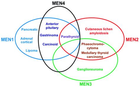 Multiple Endocrine Neoplasia (MEN) Syndrome - Focus Dentistry