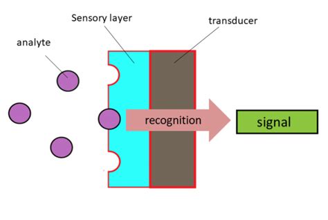 Biosensors and their applications in Modern Medicine | UPSC Medico