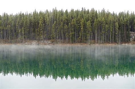 Reflection,lake,water,environment,mist - free image from needpix.com