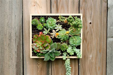 11 Brilliant DIY Indoor Vertical Garden Ideas - Ferns N Petals