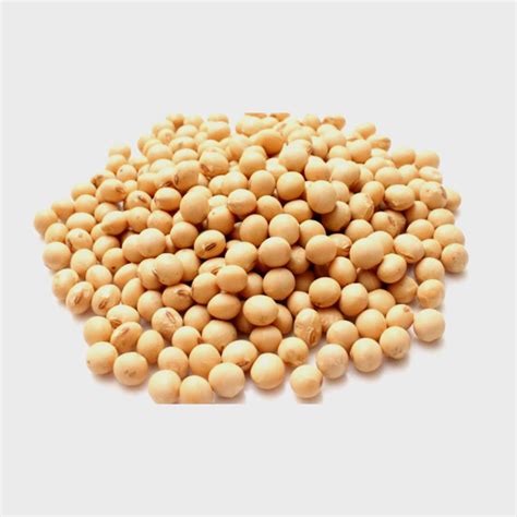 AFROCAN Supermarket - Africa B.Bambara Beans - 1lb