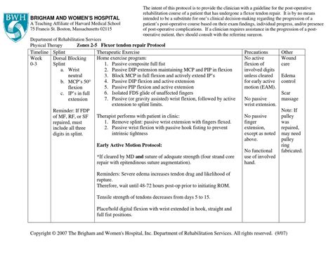 Zones 2-5 Flexor tendon repair Protocol by Kinesiologia Chile - Issuu