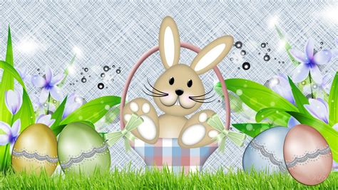 Spring Bunny Easter Eggs wallpaper | nature and landscape | Wallpaper Better