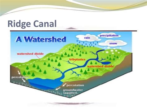 types of canal | PPT