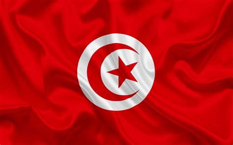 Download wallpapers Tunisian flag, Tunisia, Africa, Flag of Tunisia ...