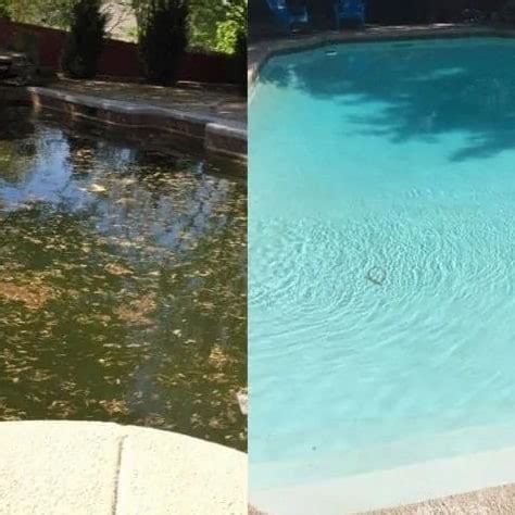 Pool Algae Removal Service - Green Pool Clean Services - Elite Pool Service