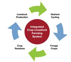 INTEGRATED FARMING SYSTEM - Agriculture Wale