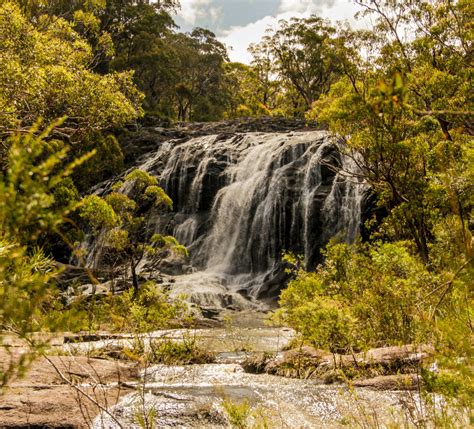 Basket Swamp National Park | Destination Tenterfield