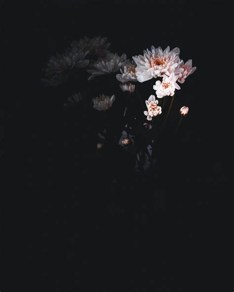 Aesthetic Black Flower Wallpapers - Wallpaper Cave