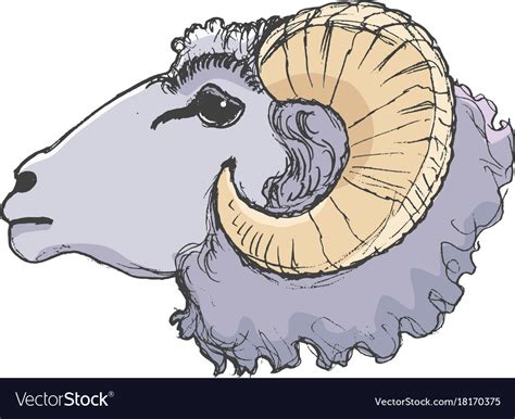 Ram farm animal Royalty Free Vector Image - VectorStock