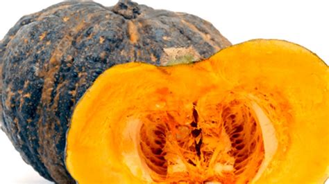 Cucurbita maxima | Agroempresario.com