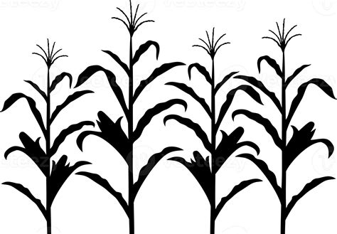 Corn stalk black and white png design 8509657 PNG