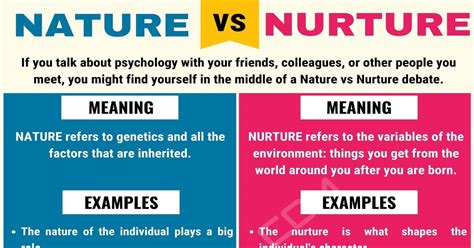 Nature vs. Nurture: Understand the Difference • 7ESL