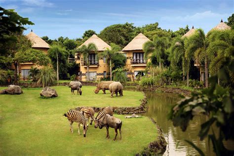 Family Activities When Stay at Mara River Safari Lodge