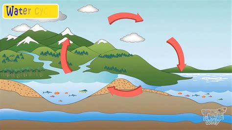 What Is Water Cycle For Class 3? Best 16 Answer - Ecurrencythailand.com