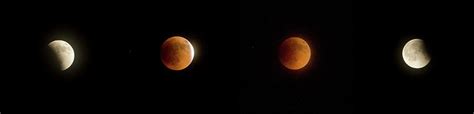 Blood Moon Eclipse Photograph by Honey DeLapa - Pixels