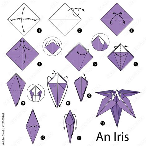 Step by step instructions how to make origami An Iris (flower). Stock-Vektorgrafik | Adobe Stock