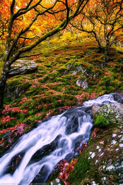 Waterfall at the Elan Valley, Rhayader, Wales | Waterfall, Autumn ...