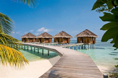 5 Star LUX* Maldives Resort | Maldives resort, Maldives and Resorts