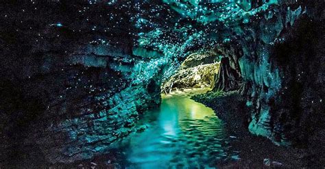 Inside Waitomo Caves: New Zealand Glowworm Caves