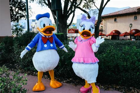 Daisy Duck And Donald Duck