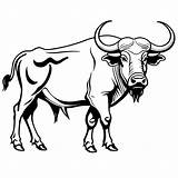 Side Pro water buffalo coloring Page Lulu Pages sketch template